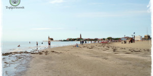 Beitragsbild des Blogbeitrags Wochenmarkt in Caorle, Jesolo, Portogruaro und das Sealife Aquarium
