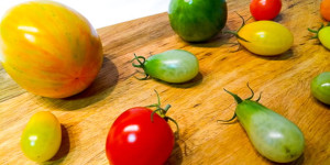 Beitragsbild des Blogbeitrags Grüne Tomaten nachreifen: Apfel, Banane, Fensterbank, Schuhkarton?! 