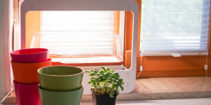 Beitragsbild des Blogbeitrags Mini Kräutergarten für Küche und Fensterbank mit Licht von Romberg