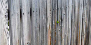 Beitragsbild des Blogbeitrags Holzzaun: modern und doch natürlich, Kooperation