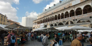 Beitragsbild des Blogbeitrags Der Wochenmarkt in Padua rund um den Palazzo della Ragione 