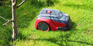 Beitragsbild des Blogbeitrags Mähroboter Erfahrungen contra Gefahr für Igel und Kinder
