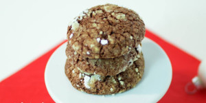 Beitragsbild des Blogbeitrags Snowcaps, Brotkekse für Weihnachten aus New York Christmas