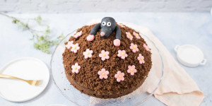 Beitragsbild des Blogbeitrags Maulwurfkuchen Rezept mit Bananen oder Erdbeeren ohne Gelatine