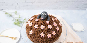Beitragsbild des Blogbeitrags Maulwurfkuchen Rezept mit Bananen oder Erdbeeren ohne Gelatine