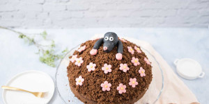 Beitragsbild des Blogbeitrags Maulwurfkuchen Rezept mit Bananen oder Erdbeeren ohne Gelatine