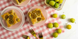 Beitragsbild des Blogbeitrags Mirabellenkuchen vom Blech