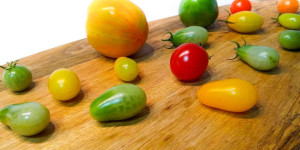 Beitragsbild des Blogbeitrags Grüne Tomaten nachreifen: Apfel, Banane, Fensterbank, Schuhkarton