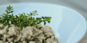 Beitragsbild des Blogbeitrags Rezept: Pilz Risotto mit Zitronenthymian 