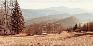Beitragsbild des Blogbeitrags Almesbrunnberg über Steinwandklamm || hikewithnathalie 