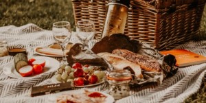 Beitragsbild des Blogbeitrags HILL Picknick || Wien-Tipp #2
