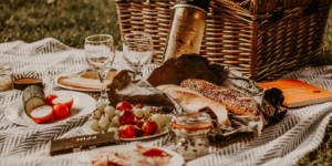 Beitragsbild des Blogbeitrags HILL Picknick || Wien-Tipp #2 