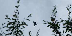 Beitragsbild des Blogbeitrags Bundesheer – Eurofighter-Übung über Flughafen Graz