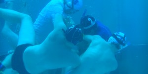 Beitragsbild des Blogbeitrags Unterwasser-Rugby WM in Graz – Im Wasser wird nicht gekuschelt! – 385