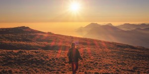 Beitragsbild des Blogbeitrags Abnehmen mit Vitamin D? 