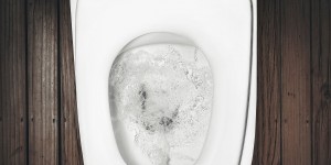 Beitragsbild des Blogbeitrags WC Reiniger Tabs: 3 Zutaten selber machen