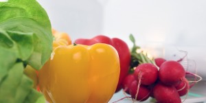 Beitragsbild des Blogbeitrags Richtig Lagern: 9 Tipps für frische Lebensmittel 