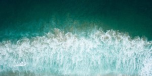 Beitragsbild des Blogbeitrags Omega 3: Natürliche & pflanzliche Quellen