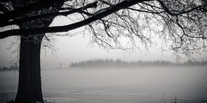 Beitragsbild des Blogbeitrags Negative Emotionen akzeptieren 