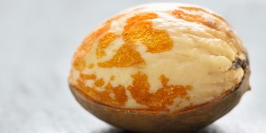 Beitragsbild des Blogbeitrags Wie die Schale des Avocadokerns in der Medizin genutzt werden könnte