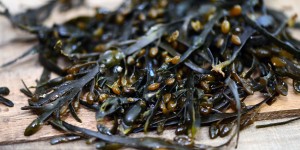 Beitragsbild des Blogbeitrags Wie ungesund ist Carrageen?