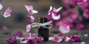 Beitragsbild des Blogbeitrags Massageöl aus 2 Zutaten selber machen