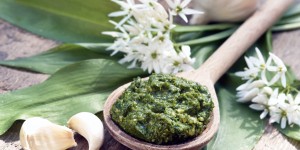 Beitragsbild des Blogbeitrags Bärlauch Pesto ohne Öl (HCLF & vegan)