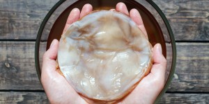 Beitragsbild des Blogbeitrags Kombucha selber machen 