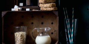 Beitragsbild des Blogbeitrags Wie gesund ist Hafermilch?