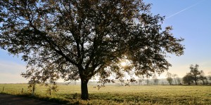Beitragsbild des Blogbeitrags Nachhaltigkeit im Alltag - #byebyeschweinehund