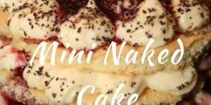 Beitragsbild des Blogbeitrags Mini „Naked Cake“ mit Bourbon-Vanillecreme, Mohn und Pflaumenröster 