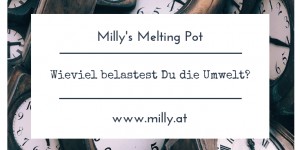 Beitragsbild des Blogbeitrags Wieviel belastest Du die Umwelt?