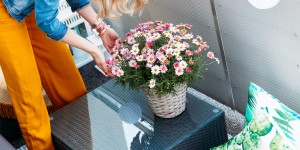 Beitragsbild des Blogbeitrags Projekt Terrasse Teil 03