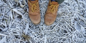 Beitragsbild des Blogbeitrags Let’s do it again! Oder: Die Sicherheit alter Fehler.