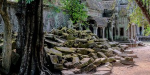 Beitragsbild des Blogbeitrags Geh dahin wo der Pfeffer wächst – Kambodscha