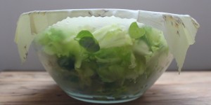 Beitragsbild des Blogbeitrags Bienenwachstücher: Gibt es die auch vegan? | Kooperation & Interview mit Beeofix