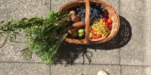Beitragsbild des Blogbeitrags Klimawandel, oder warum es dich auch betrifft (Teil 2) – Tipps für ein nachhaltigeres Leben | Guest Post