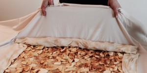 Beitragsbild des Blogbeitrags Apfelstrudel, eine Liebesgeschichte | Rezept, vegan