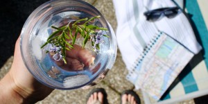 Beitragsbild des Blogbeitrags Urlaub zu Hause – Staycation in Zeiten der Selbstisolation | hometown tourism