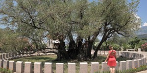 Beitragsbild des Blogbeitrags Roadtrip Zwischenstopps an der Adriaküste in Montenegro – 7 Highlights &  ein Sandstrand 