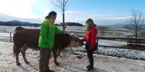 Beitragsbild des Blogbeitrags Gut Aiderbichl in Salzburg – ein tierisches Erlebnis für Groß und Klein