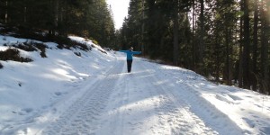 Beitragsbild des Blogbeitrags Winterwanderweg auf der Hebalm – Unterwegs in Kärnten und der Steiermark 