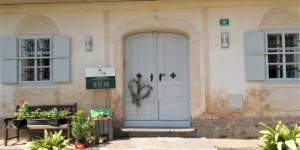 Beitragsbild des Blogbeitrags Kulinarische Steiermark: Besuch in einer Käserei – Ein tolles Geschenk für Käseliebhaber