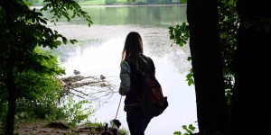 Beitragsbild des Blogbeitrags Thalersee Rundweg – Ein tolles Ausflugsziel mit dem Welpen