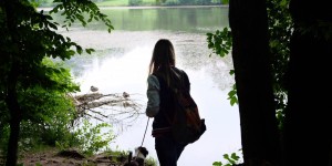 Beitragsbild des Blogbeitrags Thalersee Rundweg – Ein tolles Ausflugsziel mit dem Welpen 