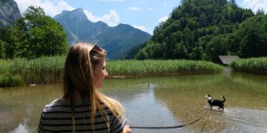 Beitragsbild des Blogbeitrags Auf zum Leopoldsteinersee – ein wunderschöner Ausflug mit Welpen 