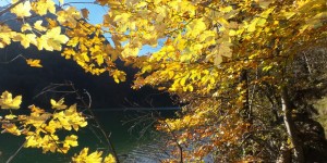 Beitragsbild des Blogbeitrags Wandern im Herbst – Ein paar kleine Tipps für mehr Sicherheit