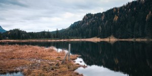 Beitragsbild des Blogbeitrags Spaziergang rund um den Spechtensee – Mystischer Herbst im Ennstal (mit Hund) 