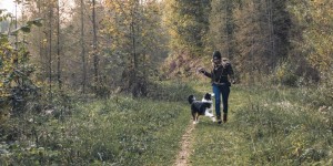 Beitragsbild des Blogbeitrags Vor der Haustüre: Schnelle Waldrunde in Gratwein (mit Hund) 