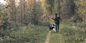 Beitragsbild des Blogbeitrags Vor der Haustüre: Schnelle Waldrunde in Gratwein (mit Hund)